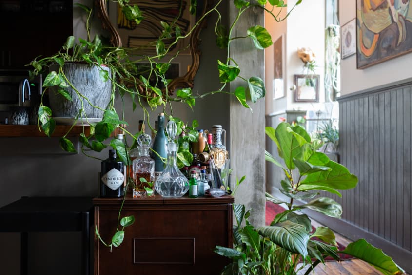 Hilton Carter Plant Doctor Industrial Loft Home Photos Apartment Therapy